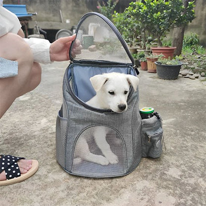 Chien qui sort sa tête dans sac à dos pour chien Green Trail gris 