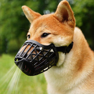 Chien respirant en muselière pour chien Museau aéré noir