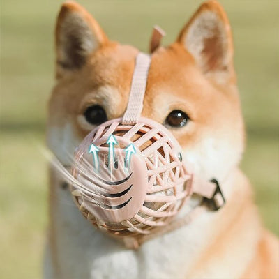 Chien respirant en muselière pour chien Museau aéré beige