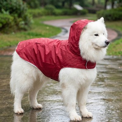 Chien sous la pluie en imperméable pour chien​ Pluie protectrice rouge