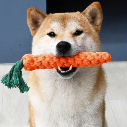 chien tenant dans sa gueule jouets pour chiens Carotte