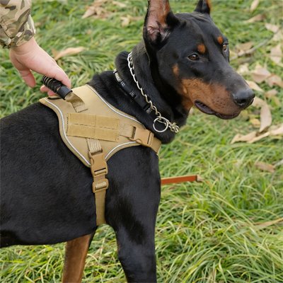 Chien tenu  avec harnais chien confort Sécurité jaune