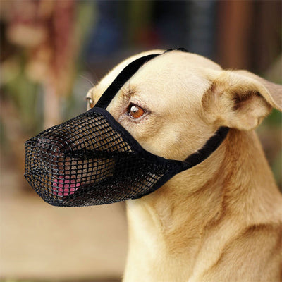 chien tirant la langue avec muselière chien Air Calm noir