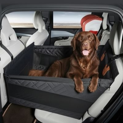 Chien tranquille dans un Siege auto pour chien Nomade en voiture