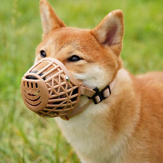 chien tranquille en muselière pour chien Museau aéré beige