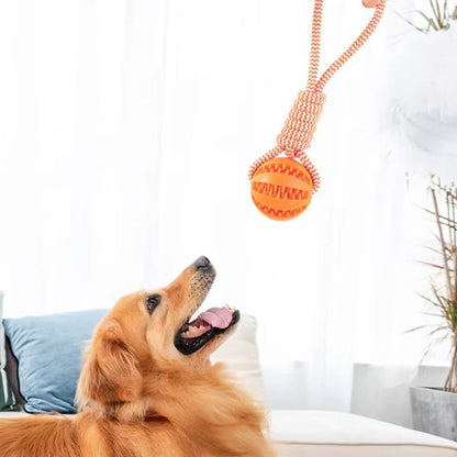 chien voulant attraper Jouets pour chien Balle Corde orange