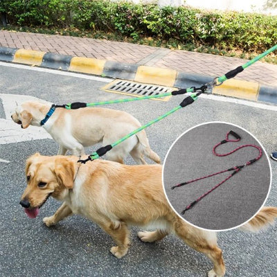 chiens se promenant en laisse double pour chien verte