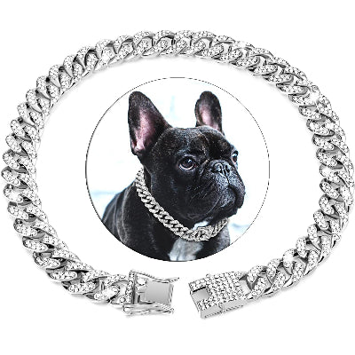 colier chien gourmette argenté