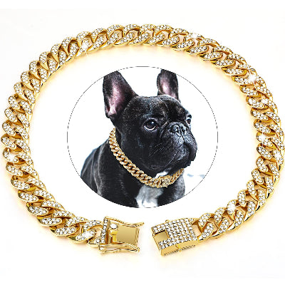 colier chien gourmette doré