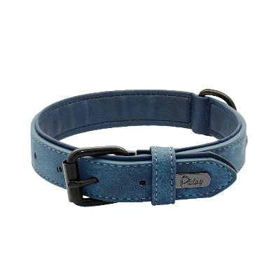 collier chien en cuir bleu