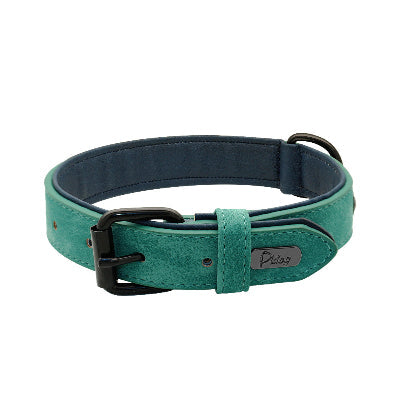 collier chien en cuir vert