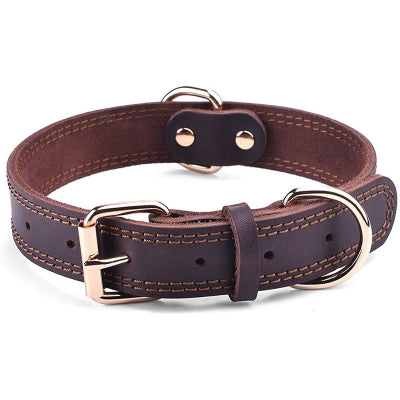 Collier chien marron