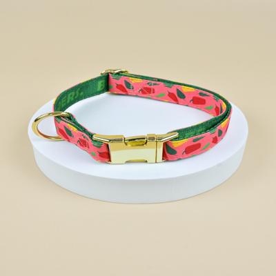 collier chiot Bella motif fruits rose