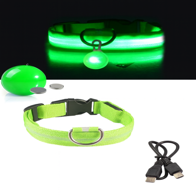 collier lumineux pour chien vert