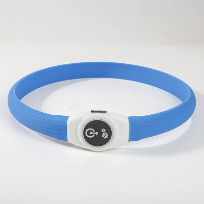 Collier lumineux chien bleue