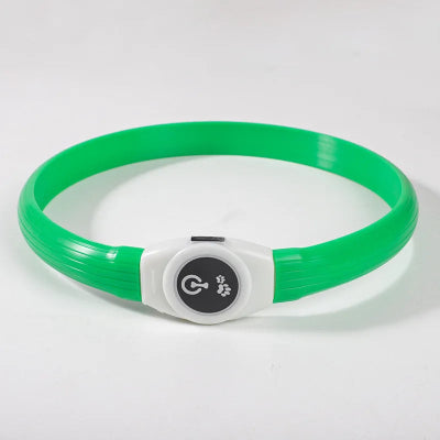Collier lumineux chien vert