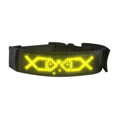 collier lumineux pour chien jaune