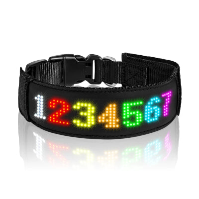 collier lumineux pour chien multicolore