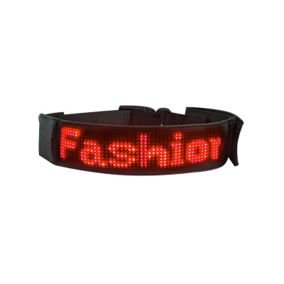 collier lumineux pour chien rouge