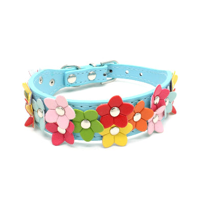 collier pour chien Flowers bleu
