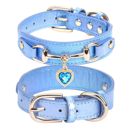 Collier pour Chien coeur bleu
