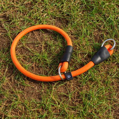 Collier pour chien corde orange