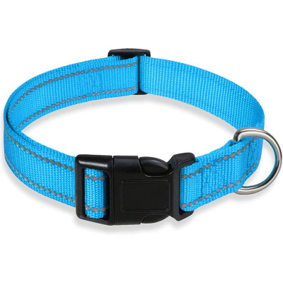 collier pour chien refléchissant bleu lac