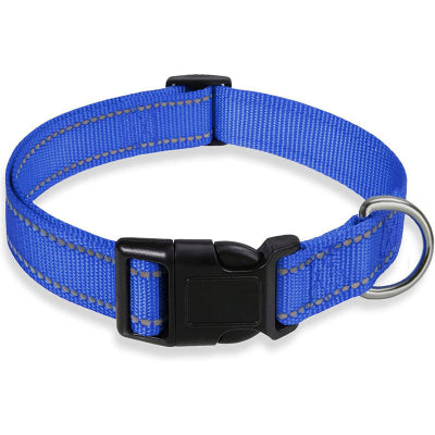collier pour chien refléchissant bleu