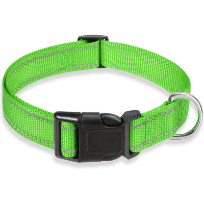 collier pour chien reflélechissant vert