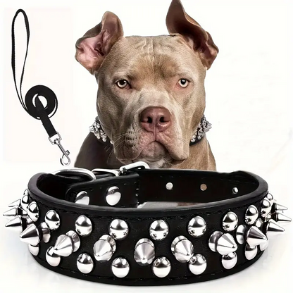 Collier pour chien 