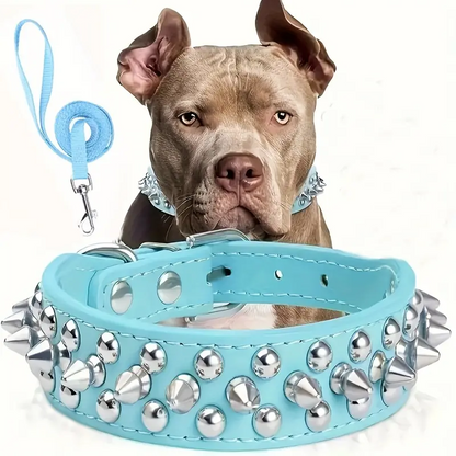 Collier pour chien 