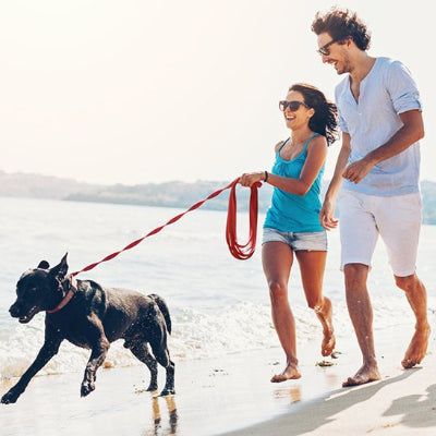 couple avec leur chien en longe pour chien rouge Plein Air sur la plage