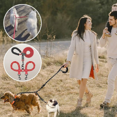 couple en balade avec leur chiens en laisse double pour chien