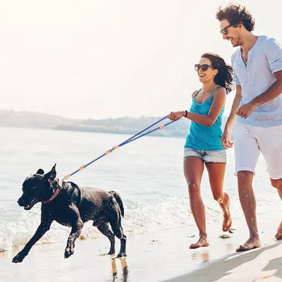couple sur la plage avec chien en laisse double pour chien