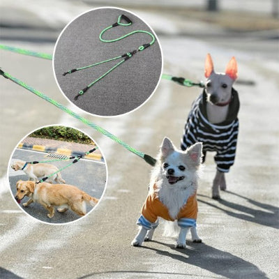deux chiens avec manteaux en laisse double pour chien