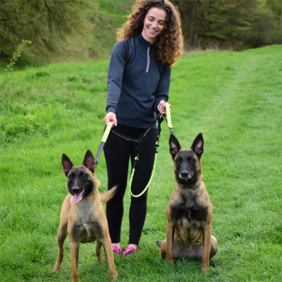 Deux chiens en double laisse pour chien 