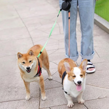 Deux chiens en promenade en double laisse pour chiens Duo enrouleur noir avec leur maitresse