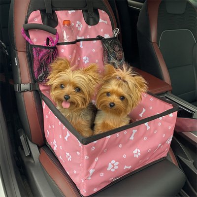 Deux Petits chiens assis dans son siege auto chien Voyage Confort Rose 