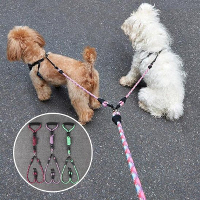 deux petits chiens attaches en laisse double pour chien