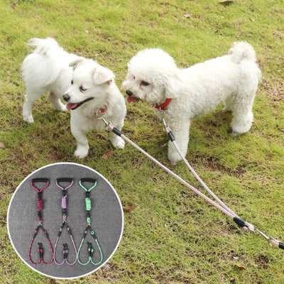 deux petits chiens en laisse double pour chien