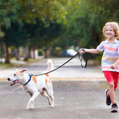 enfant avec son chien en laisse chien
