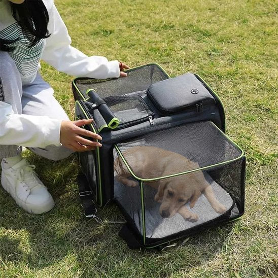 Femme avec son chien dans un sac de transport chien Pliable vert déplié sur l'herbe