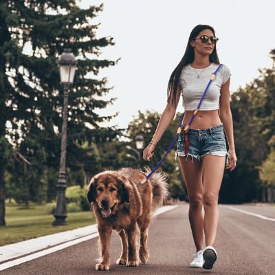 femme avec son chien heureux en laisse double pour chien se promenant dans la rue