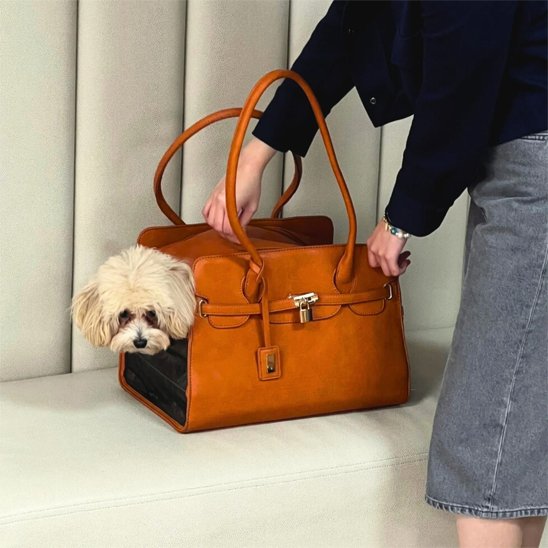 femme avec son petit chien dans son sac de transport pour chien Elegance confort marron
