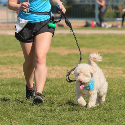 femme courant avec son chien en laisse canicross