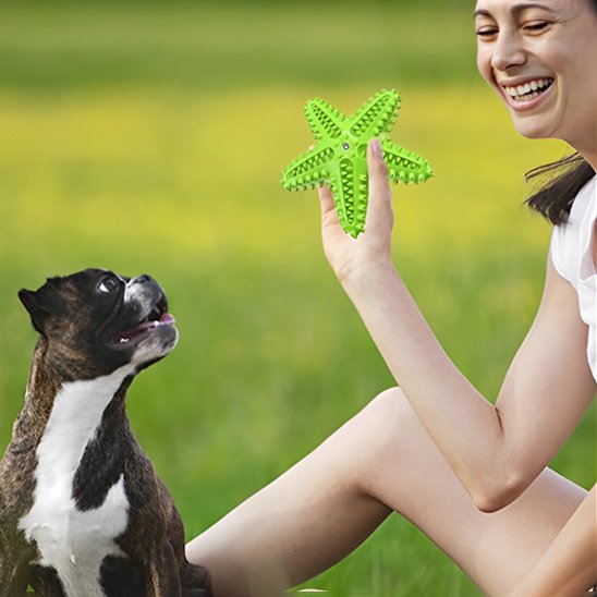 femme dans l'herbe avec son chien  jouant avec son jouet chien Etoile jaune