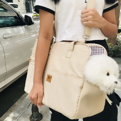 femme en ville avec son chien dans sac transport chien beige Transport Canin 