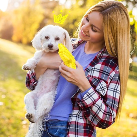 femme et son petit chien jouant avec son jouet chien Etoile jaune