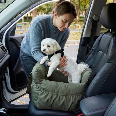 Femme installant son petit chien dans un siege auto pour chien kaki