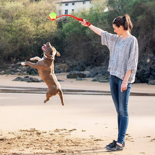 femme jouant sur la plage avec lanceur de balle pour chien rouge et son chien